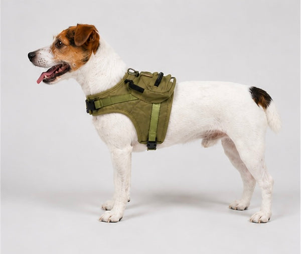 Pettorina Adventure™ - Petamys