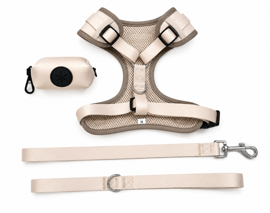 Guinzaglio Comfort Air - Petamys Edition