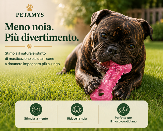 Osso Masticativo Petamys™