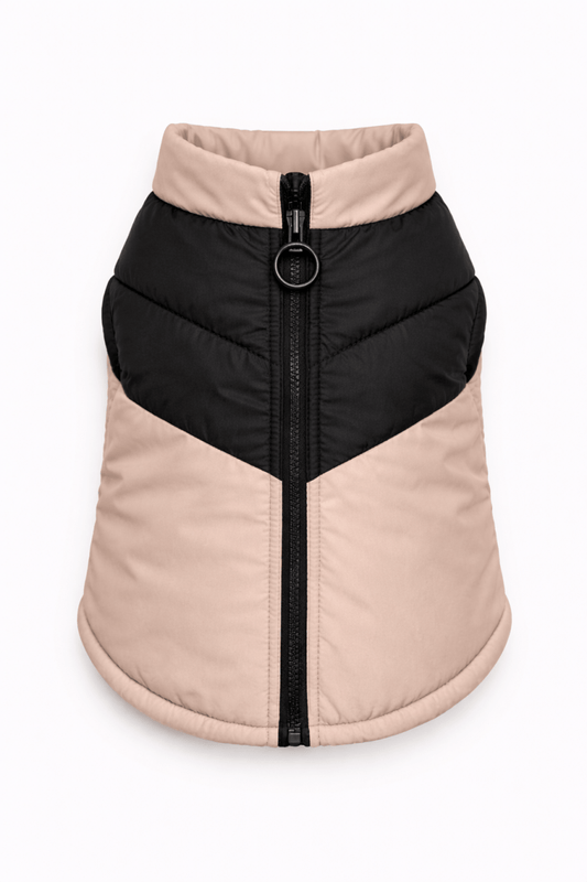 Giubbino Bomber Petamys – Luxury Edition - Petamys