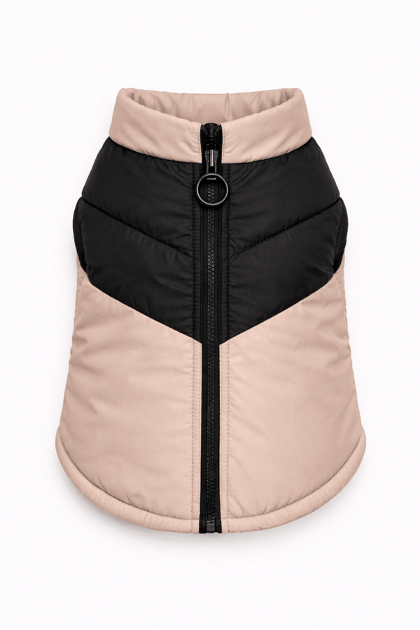 Giubbino Bomber Petamys – Luxury Edition - Petamys