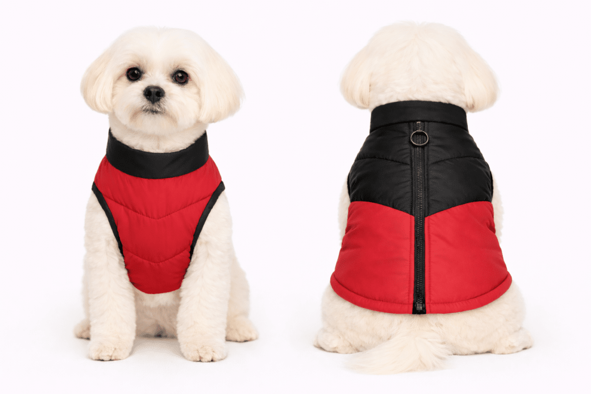 Giubbino Bomber Petamys – Stile Luxury - Petamys
