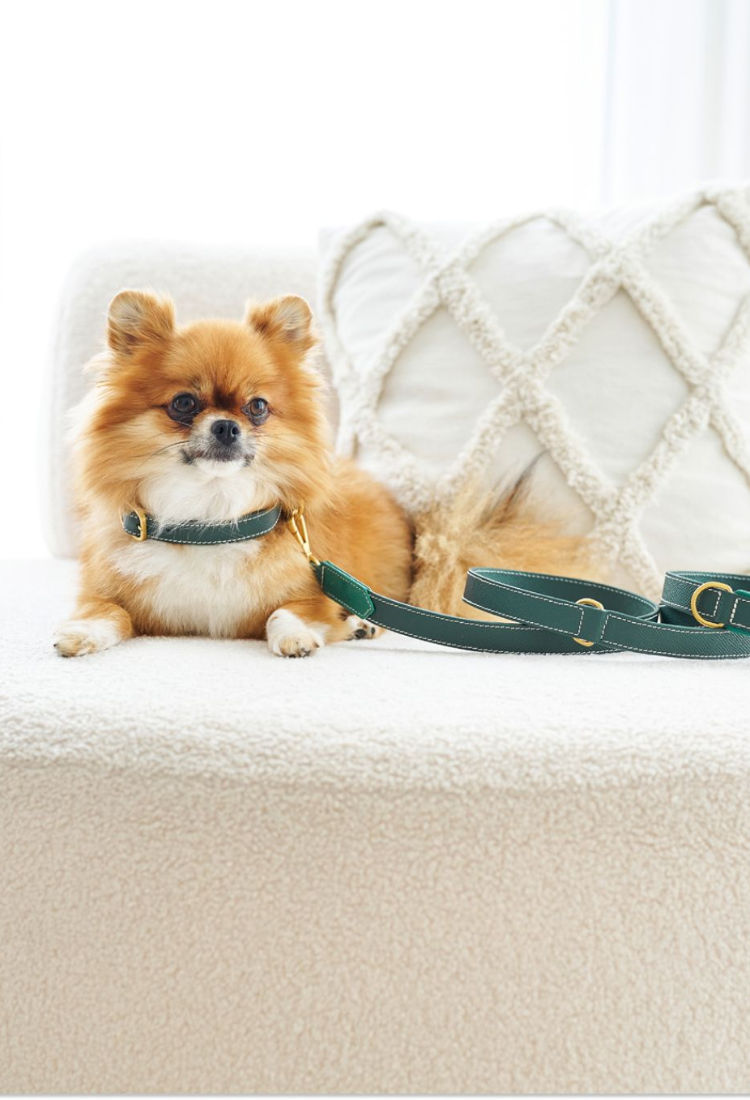 ACCESSORI